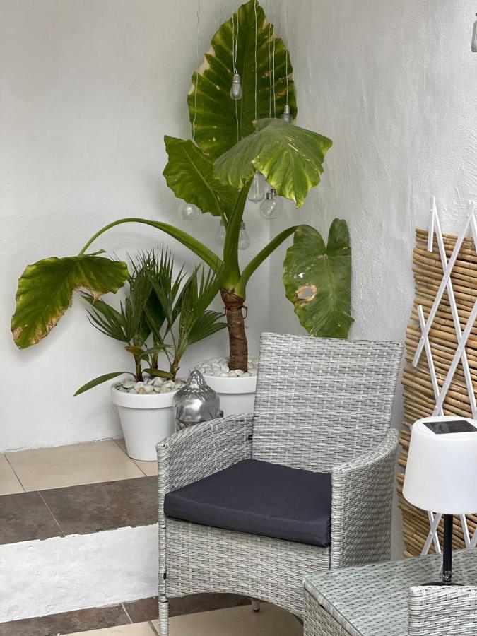 Casa Dolly Boutique